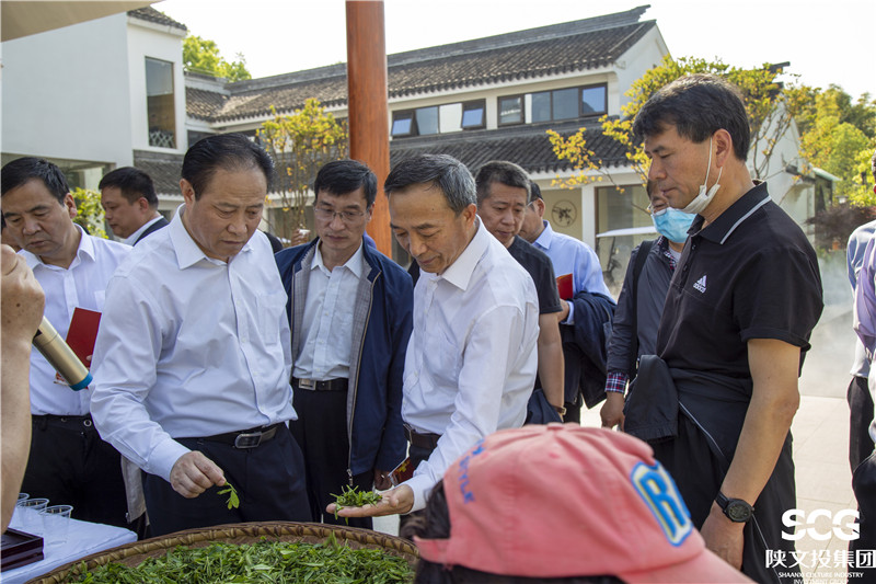 合力團了解農(nóng)業(yè)扶貧炒茶項目